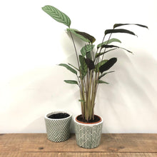 Load image into Gallery viewer, Old Style Dutch Pots - LARGE - Green