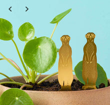 Load image into Gallery viewer, Plant Animals