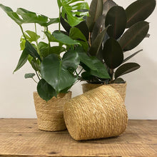 Load image into Gallery viewer, Natural Seagrass Baskets
