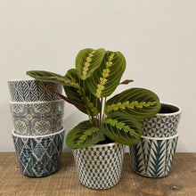 Load image into Gallery viewer, Old Style Dutch Pots - MEDIUM - Teal