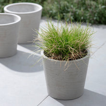 Load image into Gallery viewer, Stratton Concrete Pot - Grey