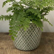 Load image into Gallery viewer, Old Style Dutch Pots - MEDIUM - Green