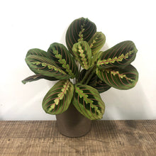 Load image into Gallery viewer, Stratton Concrete Pot - Stone