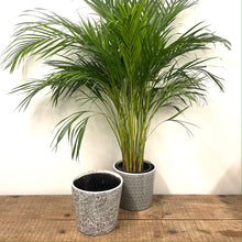 Load image into Gallery viewer, Old Style Dutch Pots - EXTRA LARGE - Black