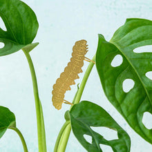 Load image into Gallery viewer, Plant Animals