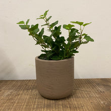 Load image into Gallery viewer, Stratton Concrete Pot - Stone