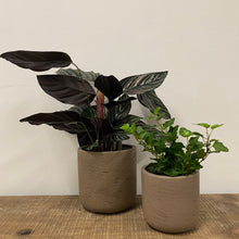 Load image into Gallery viewer, Stratton Concrete Pot - Stone