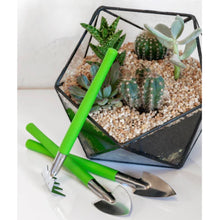 Load image into Gallery viewer, Houseplant & Terrarium Tool Set