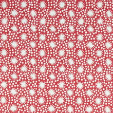 Load image into Gallery viewer, Wrapping Paper - Cambridge Imprint