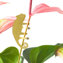 Load image into Gallery viewer, Plant Animals