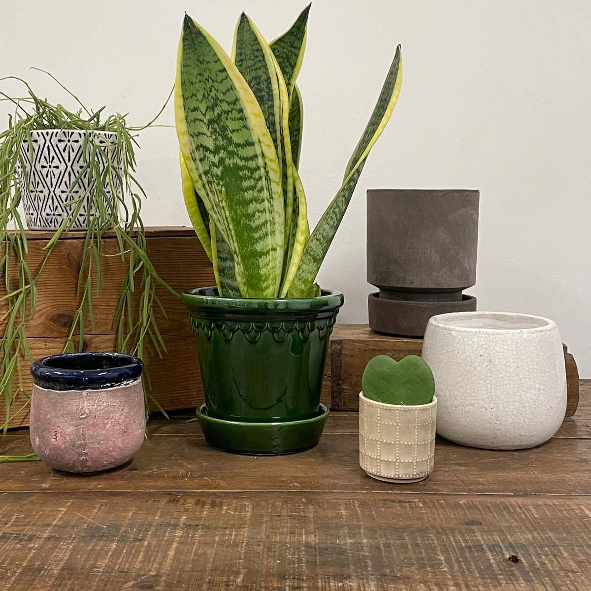 SMALL & MEDIUM PLANT POTS – Cornercopia Store