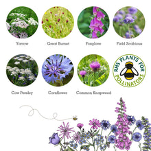 Load image into Gallery viewer, Wildlife Collection Seed Boxes
