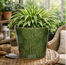 Load image into Gallery viewer, Dark Green Seed Head Pot (20.5cm Dia)
