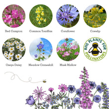Load image into Gallery viewer, Bee Seedball Wildflower Boxes
