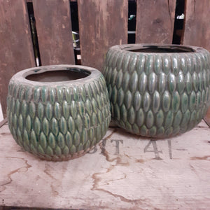 Armadillo Pot