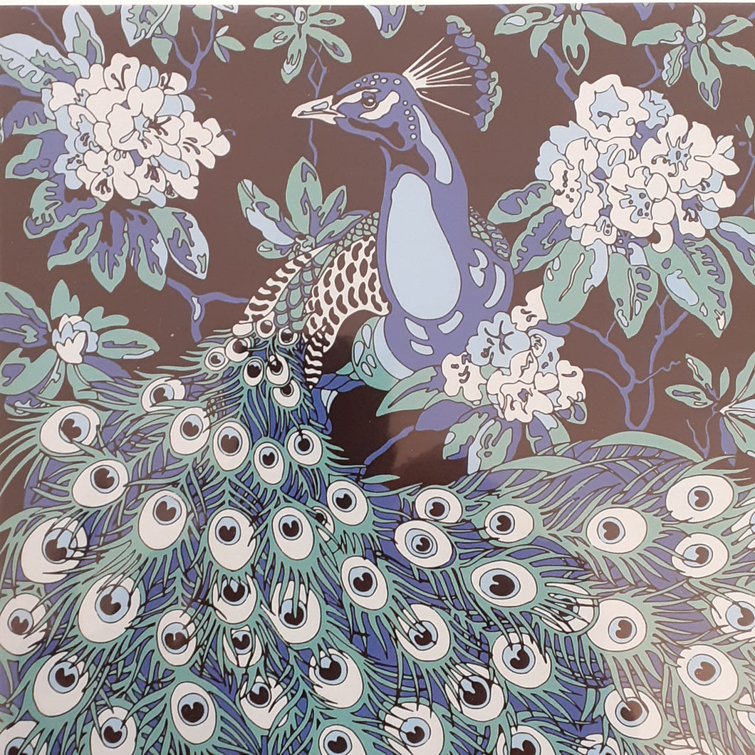 Peacock Card by Steven Gappy