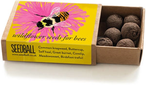 Seedball Bee Boxes