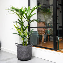 Load image into Gallery viewer, Large Grey Lined Basket Planter - 28cm
