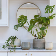 Load image into Gallery viewer, Celeste Planter
