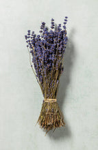 Load image into Gallery viewer, Dried Lavender Bunch - Dried Flowers
