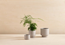 Load image into Gallery viewer, Botany Porcelain plant pot - Medium, 15cm
