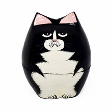 Load image into Gallery viewer, Kashmiri papier mâché Cat Trinket Box - Assorted Colours
