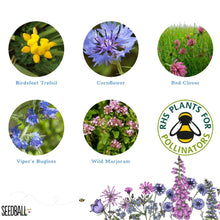 Load image into Gallery viewer, Bee Seedball Wildflower Boxes
