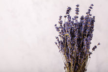 Load image into Gallery viewer, Dried Lavender Bunch - Dried Flowers
