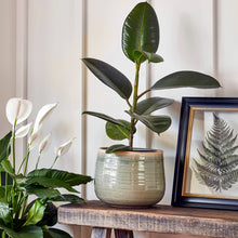 Load image into Gallery viewer, Como Hand Finished Indoor Ceramic Plant Pot H15cm x D18cm
