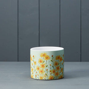 Daisy Field Pot - 12cm