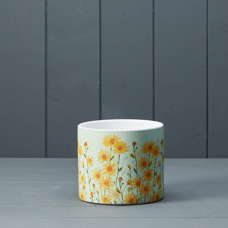 Daisy Field Pot - 12cm