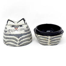 Load image into Gallery viewer, Kashmiri papier mâché Cat Trinket Box - Assorted Colours
