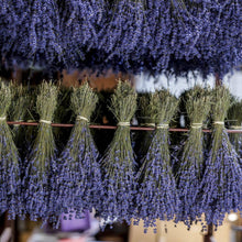 Load image into Gallery viewer, Dried Lavender Bunch - Dried Flowers
