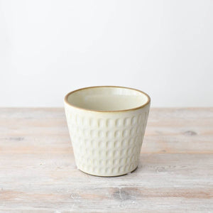 Cream Embossed Plant Pot , 14cm