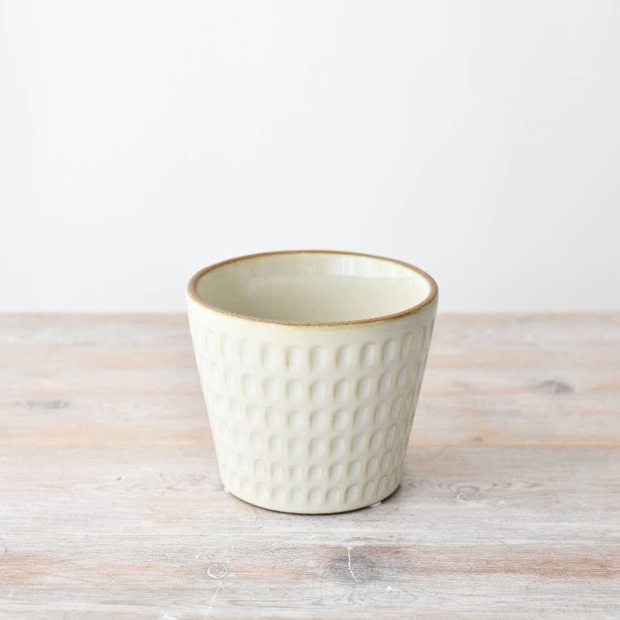 Cream Embossed Plant Pot , 14cm