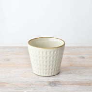 Cream Embossed Plant Pot , 14cm