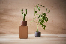 Load image into Gallery viewer, Botany Porcelain Plant Pot - Small, 11.5cm
