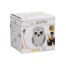 Load image into Gallery viewer, Harry Potter Hedwig Plant Pot
