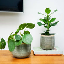Load image into Gallery viewer, Como Hand Finished Indoor Ceramic Plant Pot H15cm x D18cm
