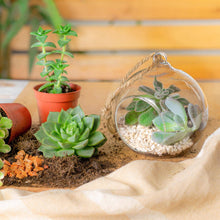 Load image into Gallery viewer, Indoor Plant Terrarium Hanging Rope 10cm
