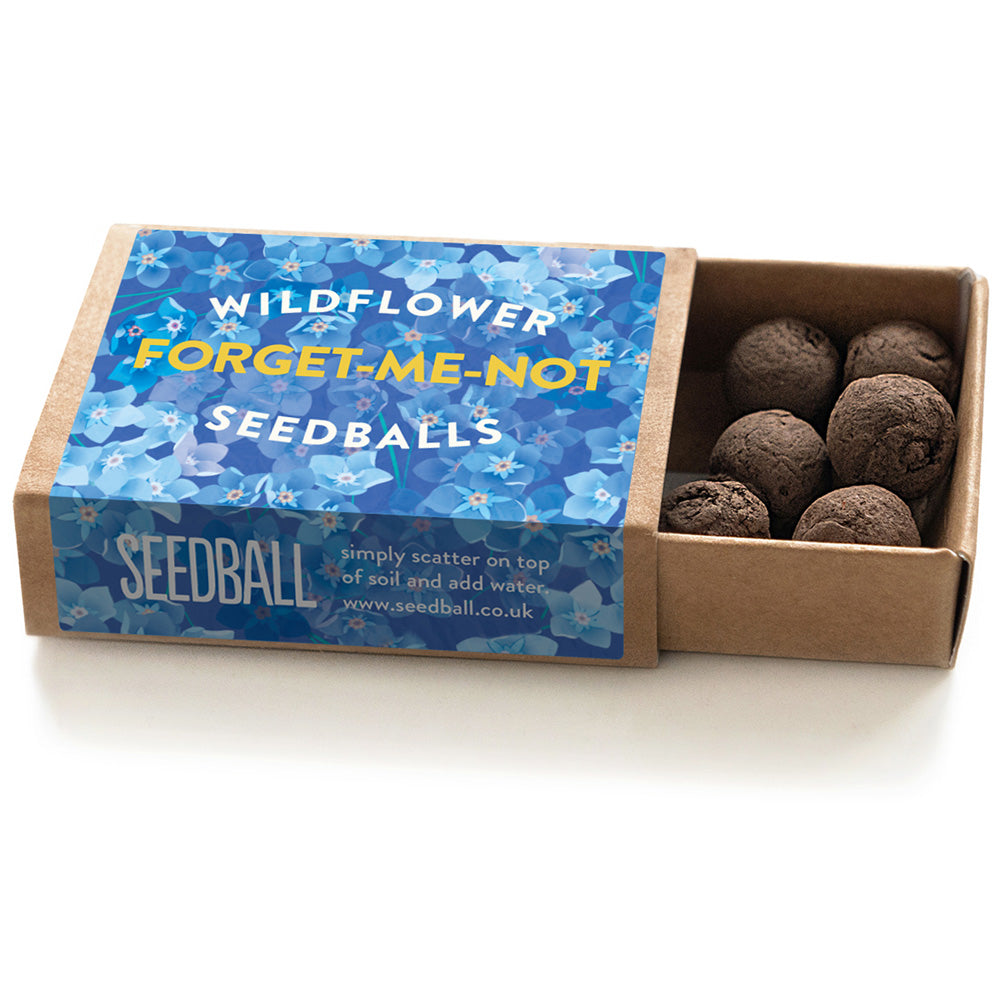 Seedball Forget-Me-Not  Boxes