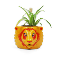 Plant Pot Shaped - Harry Potter (Gryffindor)