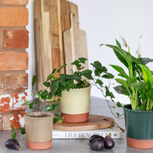 Load image into Gallery viewer, Adeline Beaded Edge Planter H13.5cm D14cm
