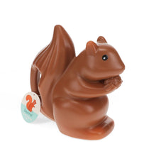 Load image into Gallery viewer, Children’s Watering Can (1.6Ltr) - Squirrel

