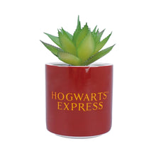 Load image into Gallery viewer, Platform 9/4 Plant Pot
