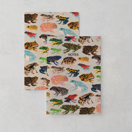 Frogs Notebook