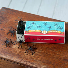 Load image into Gallery viewer, Box of 20 Spiders
