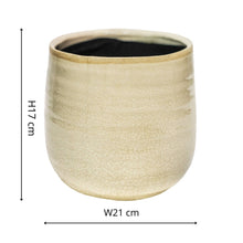 Load image into Gallery viewer, Como Hand Finished Indoor Ceramic Plant Pot H21cm &amp; D26cm
