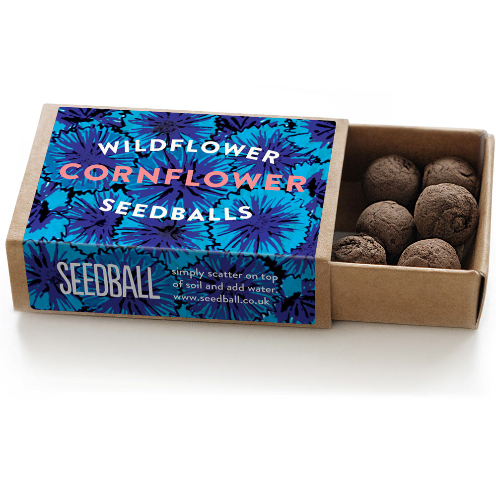 Seedball Cornflower Boxes