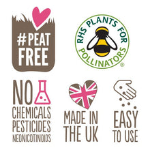 Load image into Gallery viewer, Wildflower Seedball Tube - Forget-Me-Not
